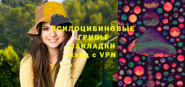 крисы Белоозёрский