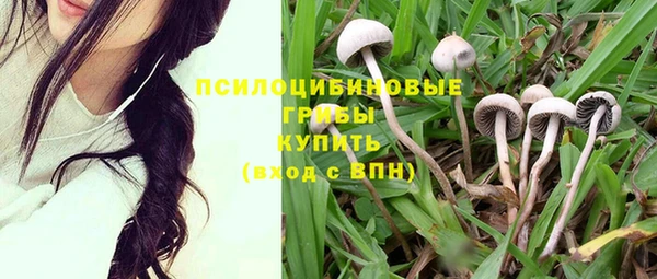 крисы Белоозёрский