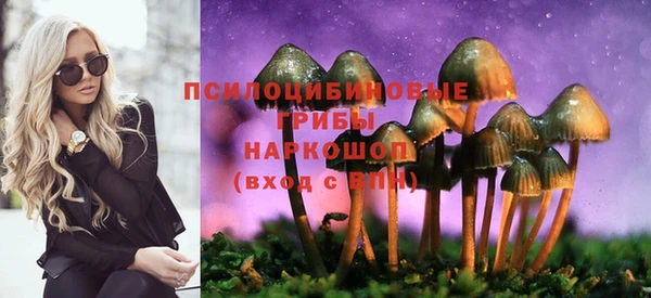 крисы Белоозёрский